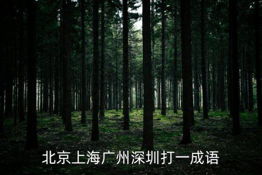 北京市上海市廣州市深圳市，北京上海廣州深圳打一成語