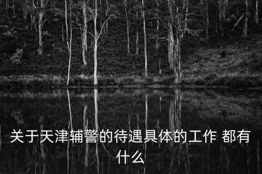 關(guān)于天津輔警的待遇具體的工作 都有什么