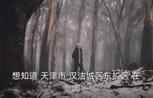 想知道 天津市 漢沽城區(qū)東擴(kuò)區(qū) 在哪