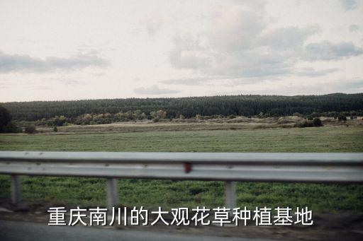 重慶市江津區軒貴花卉種植場，請問重慶哪有鈴蘭花