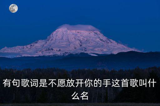 有句歌詞是不愿放開你的手這首歌叫什么名