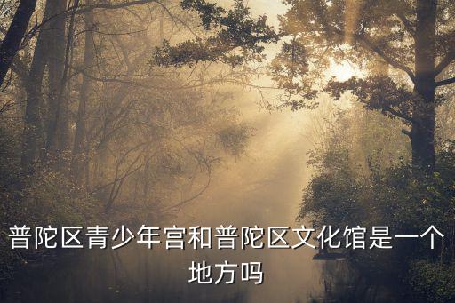 上海市普陀區文化中心，去普陀區文化中心門口刷了隨申碼進入就可以領紅包了