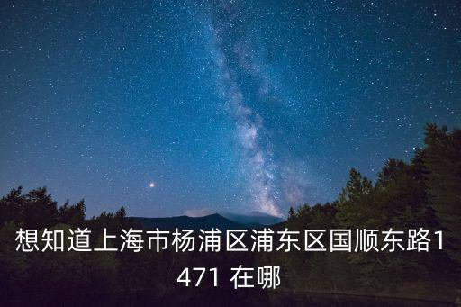 想知道上海市楊浦區浦東區國順東路1471 在哪