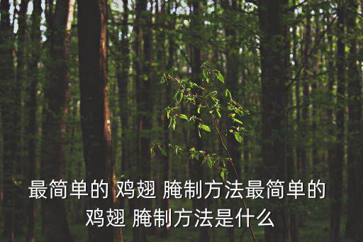 最簡(jiǎn)單的 雞翅 腌制方法最簡(jiǎn)單的 雞翅 腌制方法是什么