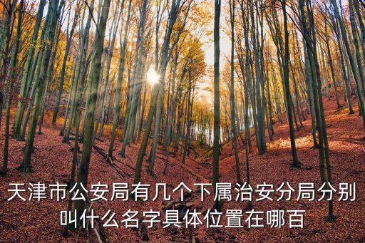 天津市公安名字，天津市公安局有幾個(gè)下屬治安分局分別叫什么名字具體位置在哪百