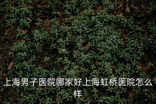上海市虹橋醫院是幾級醫院，上海虹橋耳鼻喉醫院是三甲嗎