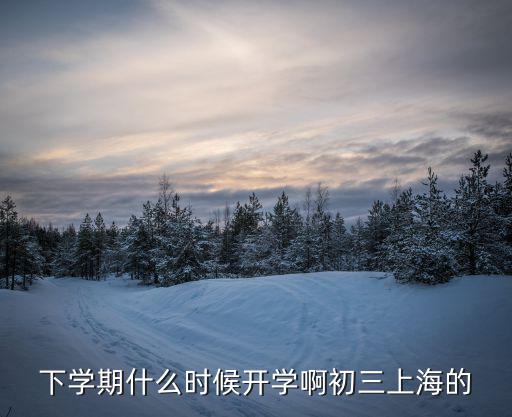 下學期什么時候開學啊初三上海的