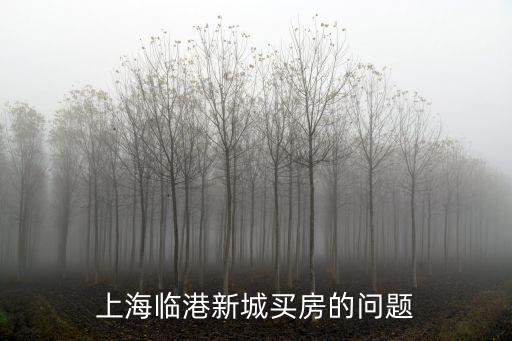 上海臨港新城買房的問(wèn)題