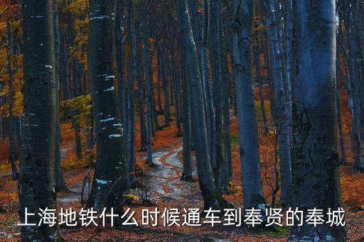 上海地鐵什么時候通車到奉賢的奉城
