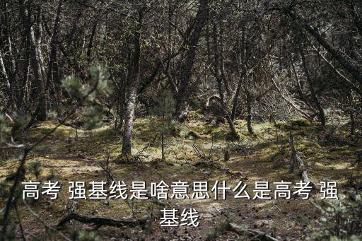 強基,高考分數線強化計劃的詳情