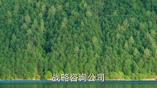 上海市批量招標(biāo)，上海招標(biāo)信息怎么快速發(fā)布