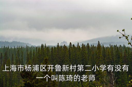 上海市開魯新村第二小學 無師德，上海市楊浦區開魯新村第二小學有沒有一個叫陳琦的老師