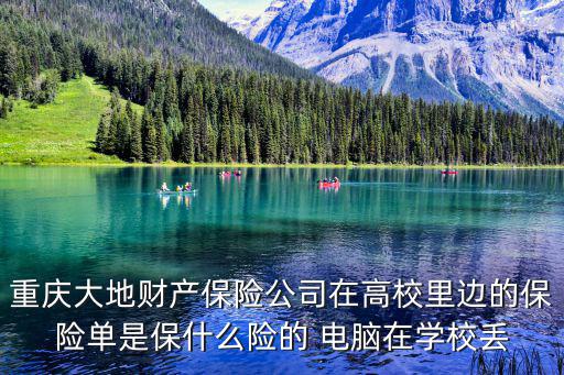 重慶大地財產保險公司在高校里邊的保險單是保什么險的 電腦在學校丟