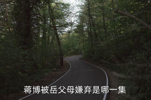 蔣博被岳父母嫌棄是哪一集