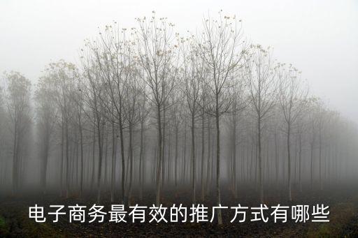 電子商務(wù)最有效的推廣方式有哪些