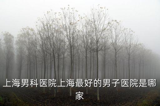 上海男科醫(yī)院上海最好的男子醫(yī)院是哪家
