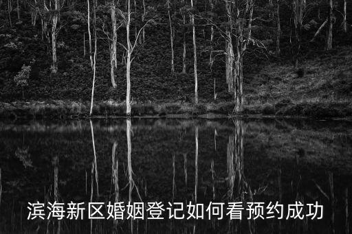 濱海新區(qū)婚姻登記如何看預(yù)約成功