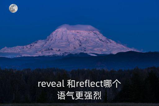reflect是什么意思，REFUGEE是什么意思