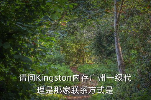 請問Kingston內存廣州一級代理是那家聯系方式是
