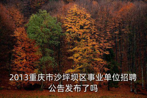 2013重慶市沙坪壩區事業單位招聘公告發布了嗎
