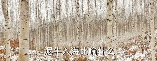 泥牛入海什么意思,泥牛入海"這個數(shù)有多少?猜一猜!