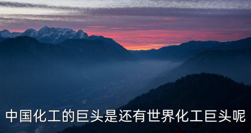 中國化工的巨頭是還有世界化工巨頭呢
