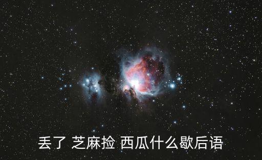 丟了 芝麻撿 西瓜什么歇后語