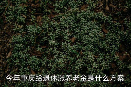 今年重慶給退休漲養老金是什么方案