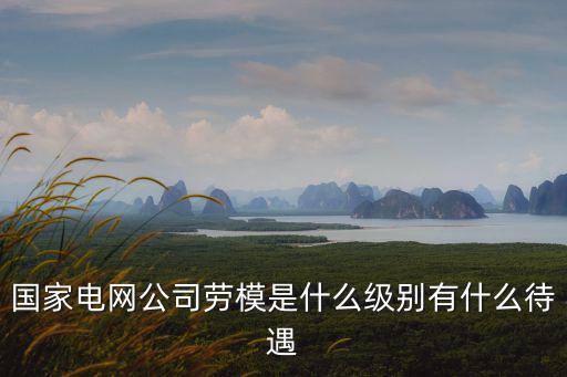 國家電網(wǎng)公司勞模是什么級別有什么待遇