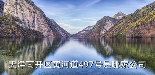 天津市天美恒業(yè)商貿(mào)有限公司，天津南開區(qū)黃河道497號(hào)是哪家公司