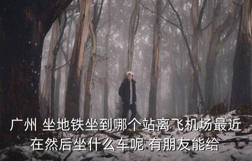 廣州 坐地鐵坐到哪個(gè)站離飛機(jī)場(chǎng)最近在然后坐什么車呢 有朋友能給