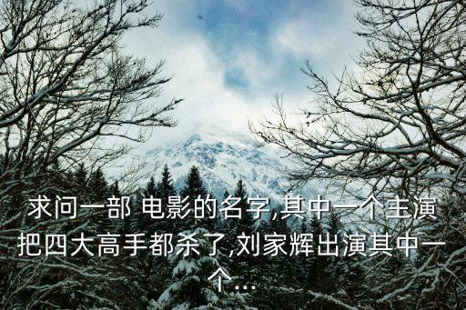 求問一部 電影的名字,其中一個主演把四大高手都?xì)⒘?劉家輝出演其中一個...