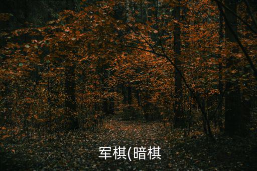 軍棋布局,一師兩旅要在軍旗周圍下棋把握好尺度