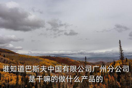 誰知道巴斯夫中國有限公司廣州分公司是干嘛的做什么產品的