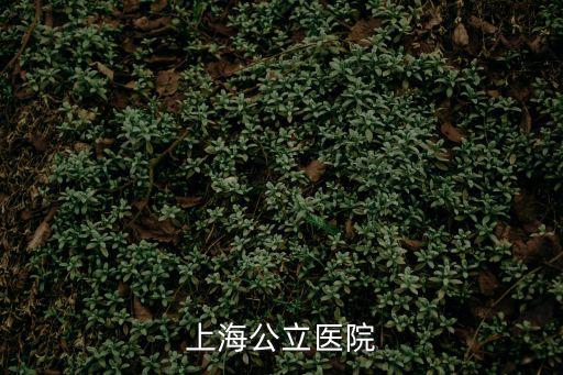 上海市公利醫院三甲，上海公立三甲醫院哪家不錯