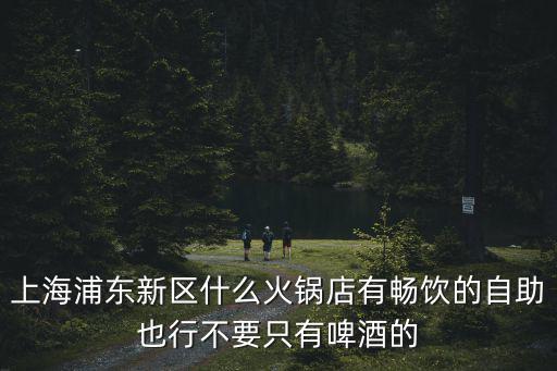 上海浦東新區什么火鍋店有暢飲的自助也行不要只有啤酒的