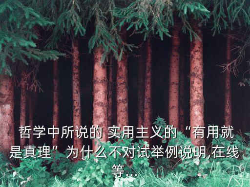  哲學中所說的 實用主義的“有用就是真理”為什么不對試舉例說明,在線等...