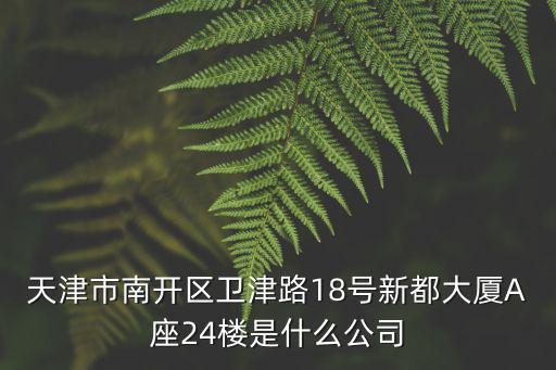 天津市南開區衛津路18號新都大廈A座24樓是什么公司