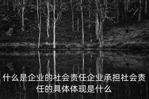 什么是企業(yè)的社會責任企業(yè)承擔社會責任的具體體現(xiàn)是什么