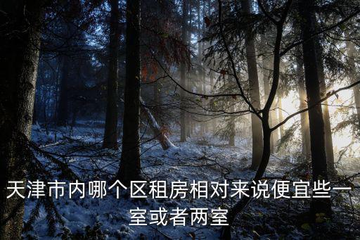 天津市南坊區租房，天津市區內租房價格行情20平米一個月租金多少