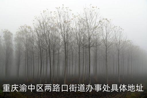 重慶渝中區兩路口街道辦事處具體地址
