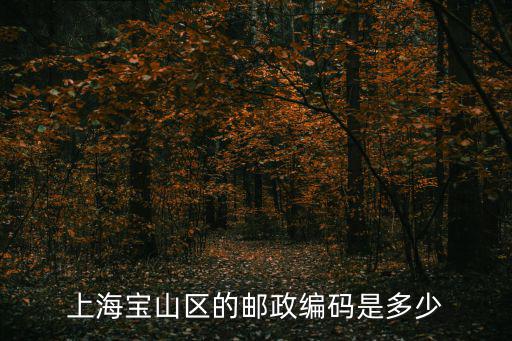 上海寶山區的郵政編碼是多少