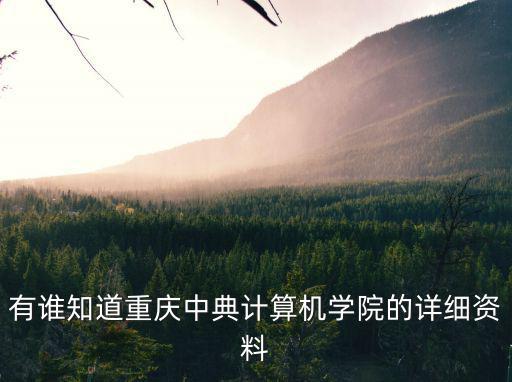 有誰知道重慶中典計算機學院的詳細資料