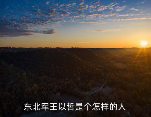 東北軍王以哲是個怎樣的人