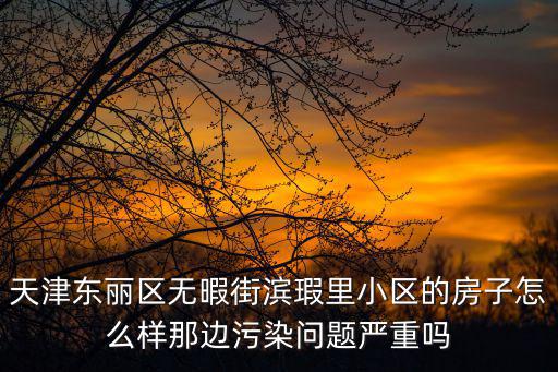 天津市東麗區(qū)無(wú)瑕街魏媛媛，天津東麗區(qū)無(wú)暇街濱瑕里小區(qū)的房子怎么樣那邊污染問(wèn)題嚴(yán)重嗎