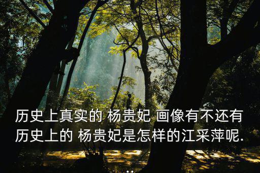 楊貴妃畫像,唐朝女裝楊玉環畫像不可能全裸
