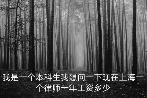 我是一個本科生我想問一下現在上海一個律師一年工資多少