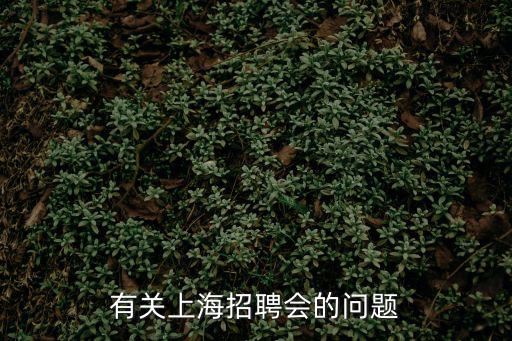 有關上海招聘會的問題