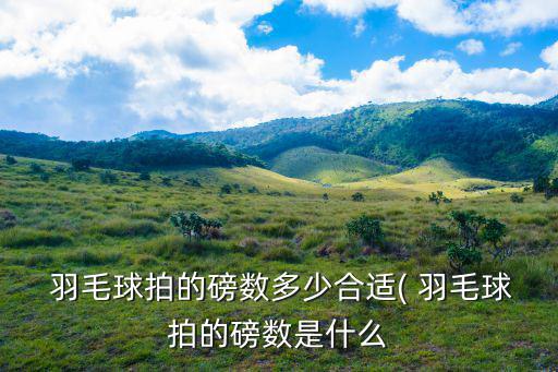  羽毛球拍的磅數多少合適( 羽毛球拍的磅數是什么