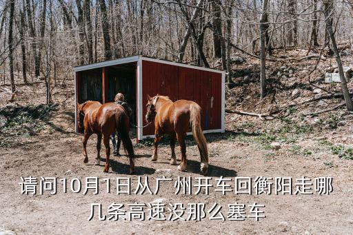 廣州回衡陽堵車嗎，京珠高速衡陽到廣州是否交通不塞車